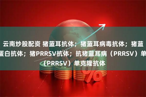 云南炒股配资 猪蓝耳抗体；猪蓝耳病毒抗体；猪蓝耳病毒N蛋白抗体；猪PRRSV抗体；抗猪蓝耳病（PRRSV）单克隆抗体